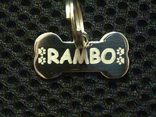 STAINLESS STEEL PET I.D TAG (TINY BONE) INCLUDING ENGRAVING