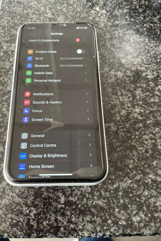 iPhone XR