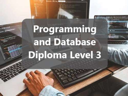 Online Course - Programming and Database Diploma Level 3