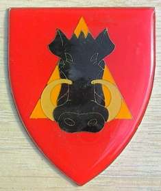 Donkin Commando Shoulder Flash - no pins