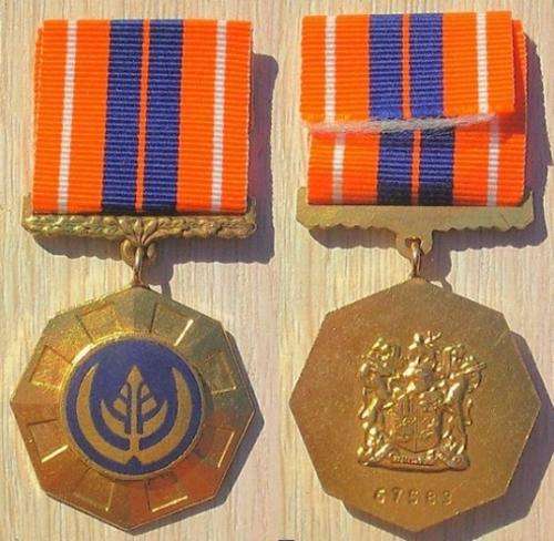 Full Size Pro Patria Medal -- Link suspender, #67583