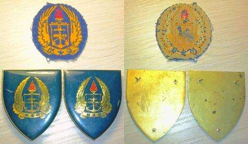 Army Gymnasium Flashes & Cloth Badge