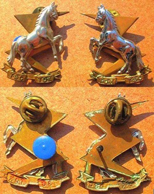SADF Technical Service Corps Collar Badges