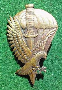 Polish Para/Spec Op Badge
