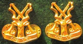 Regiment Christiaan Beyers Gilded Collar Badges