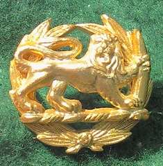 Rhodesia BSAP Rank Badge - 22mm