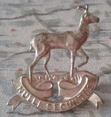 Pretoria Regiment Collar Badge - worn post 1963