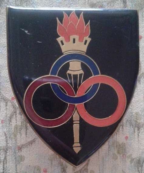 SADF Services School Shoulder Flash