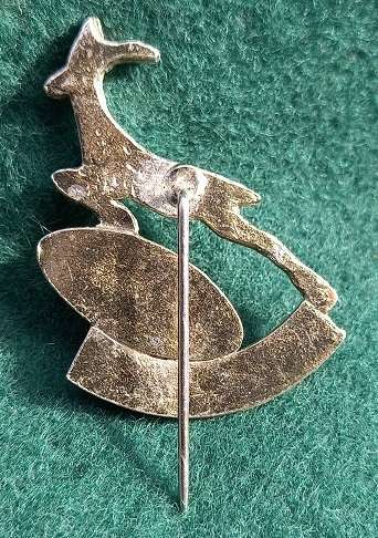 SA Rugby Lapel Badge
