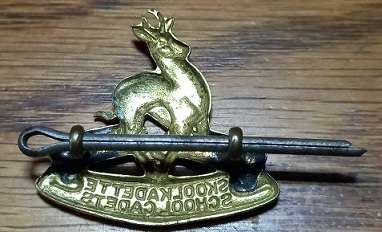 SA Schools Cadets Officers Gilt Collar Badge