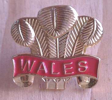 Wales Rugby Badge