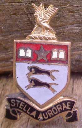 University Of Natal Lapel Badge - est.1949