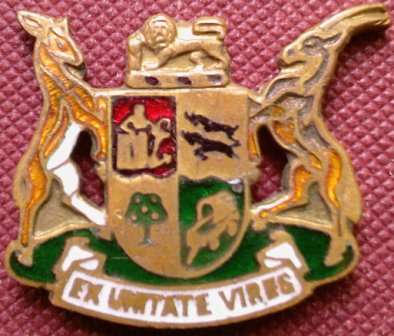 SA Coat of Arms Badge - Used on Cap Insignia