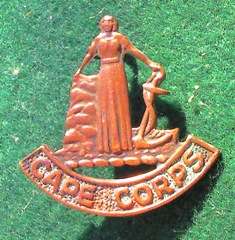 Cape Corps Cap Badge - worn 1940 - 1945