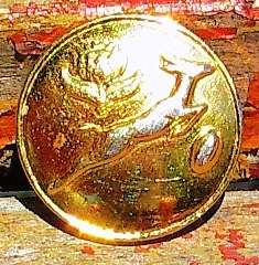 SA Rugby Blazer Button -- 17mm