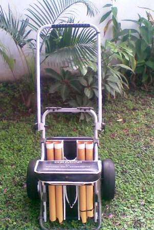 GEMINI GOLF CART/BAG