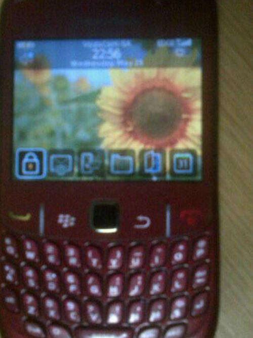Strawberry Blackberry 8250
