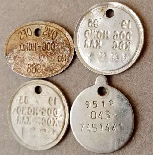 Lot of 4 vintage dog licence tags