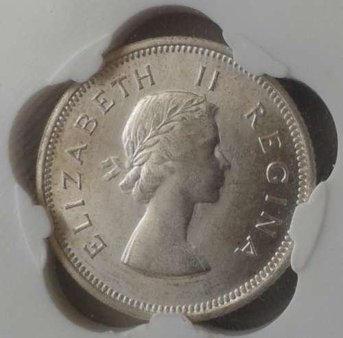 Excellent 1955 union silver shilling SANGS MS62