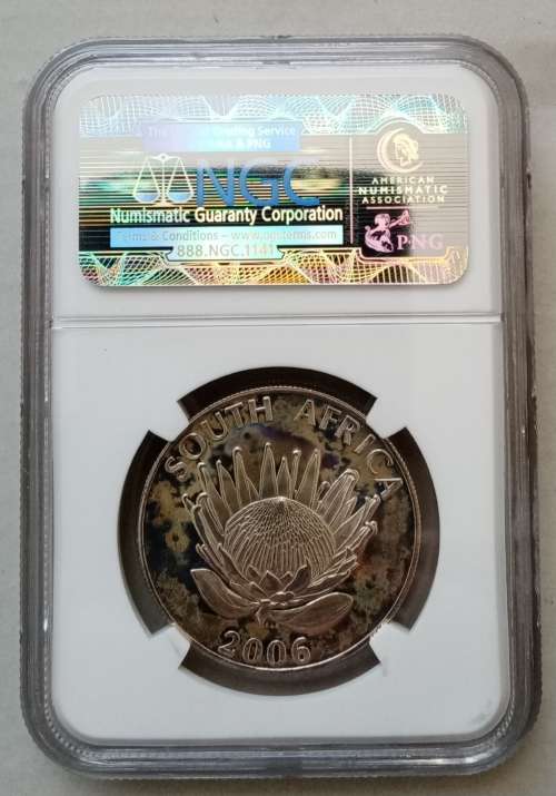 Rare 2006 Tutu silver R1 NGC MS64 (mintage 390)