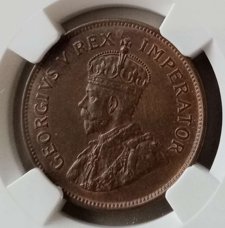 1929 Union 1/2 penny NGC AU58 BN (high grade)