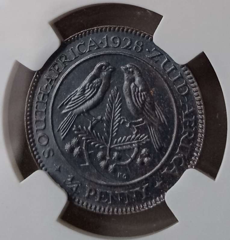 Scarcer 1928 union 1/4 Penny NGC MS65 BN