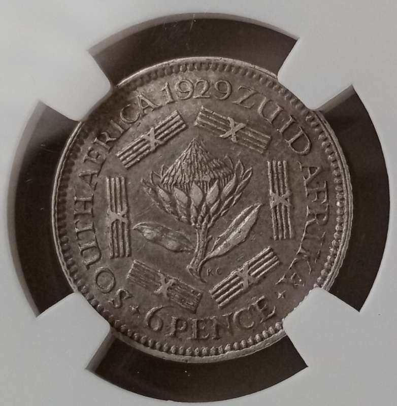 1929 Union silver sixpence NGC AU Details (Nice coin)