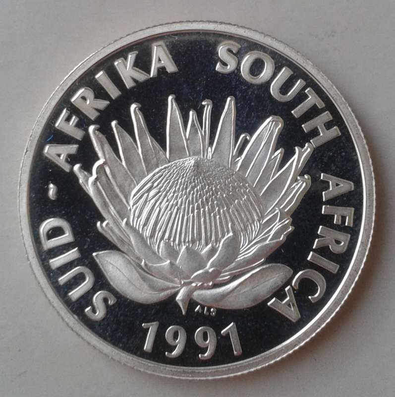 Nice 1991 Nursing proof silver R1