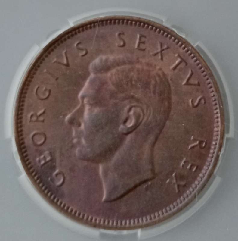 Nice 1952 Union 1/2 penny SANGS MS63 RB