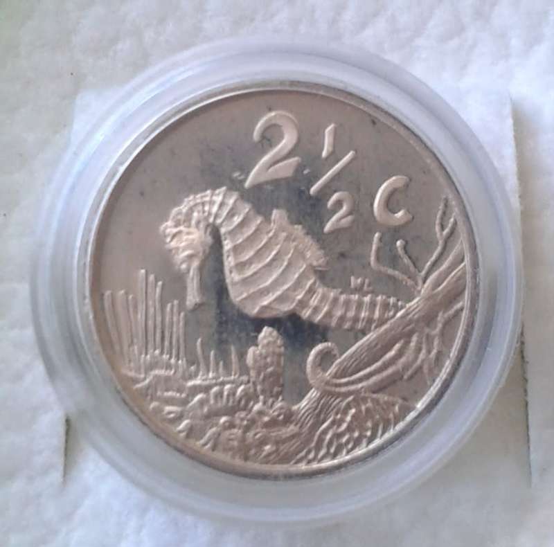 1997 Knysna Seahorse proof silver 2 1/2c in S.A Mint box incl.certificate