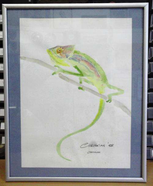Framed watercolour by Chrisman Stander - Chamelion 1988