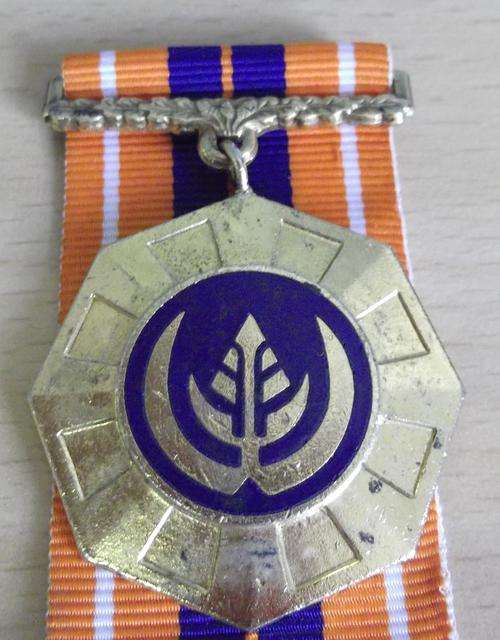 Pro Patria medal, *link suspender* Full size, no.56308, with ribbon - as per photos