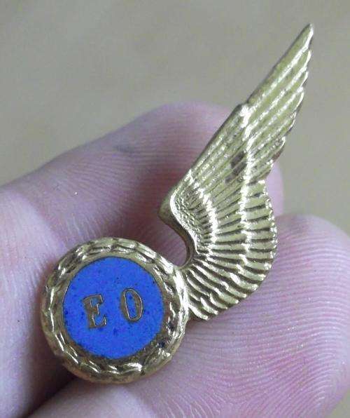 SAAF Electronic warfare (EO) half wing - pins intact