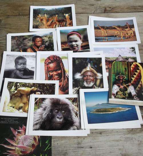 43 new large post cards of  Southern Africa, 17 different - bid per post card