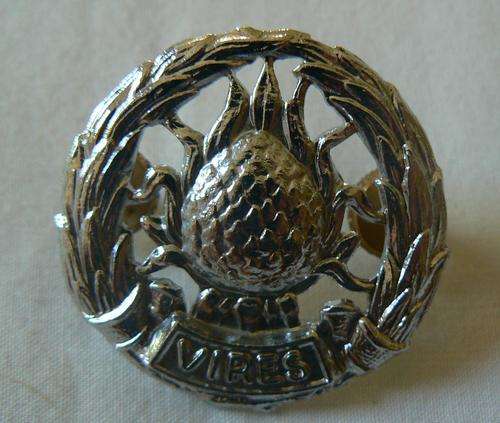Regiment Boland chrome badge