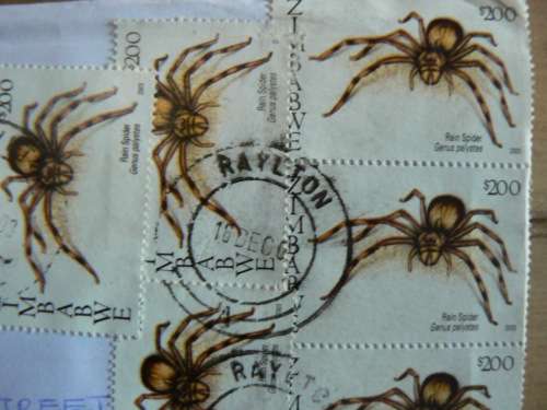 Letter airmail Zimbabwe to South Africa 2003 with 15 $200 spider stamps - some multiples