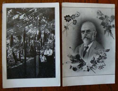 Lot of 12 old German post cards circa 1915 - mostly unused