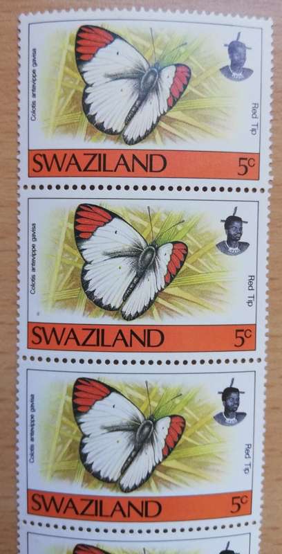 1992 Swaziland butterfly 5c strip of 7 MNH