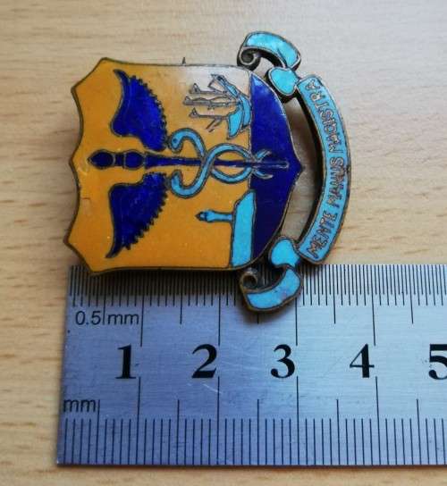 Vintage Cape Technical College badge - Mente Manus Magistra