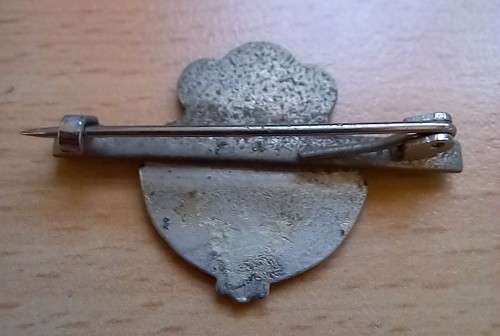 1954 Cape Province Women`s Agricultural Association CPWAA silver jubilee badge