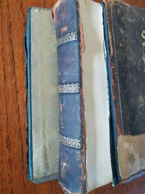 1890 Scenes of life in the Transvaal book
