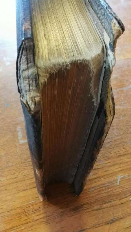 1890 Scenes of life in the Transvaal book