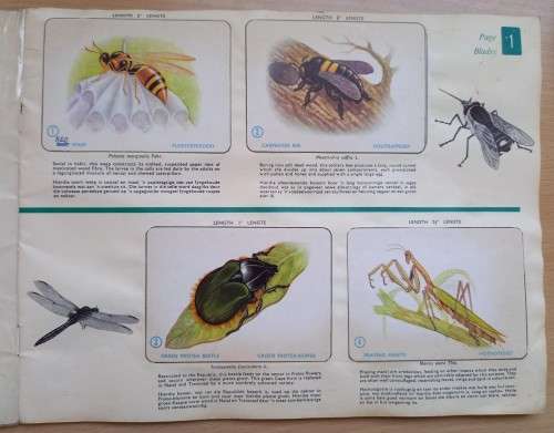 Vintage Bokomo sticker album: Insects of South Africa, complete