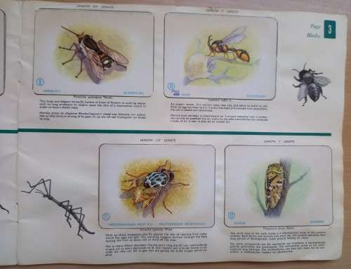 Vintage Bokomo sticker album: Insects of South Africa, complete