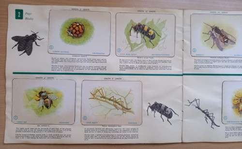Vintage Bokomo sticker album: Insects of South Africa, complete