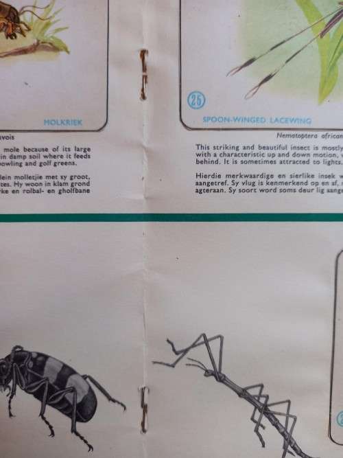 Vintage Bokomo sticker album: Insects of South Africa, complete