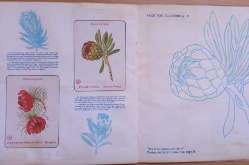 Vintage Bokomo sticker album: Proteas of South Africa, complete