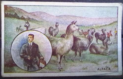 1927 & 1932 Oxo trade cards (x3)