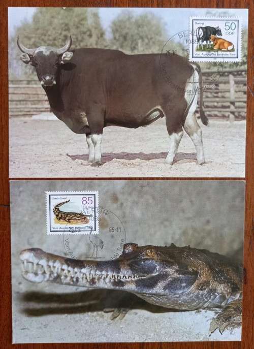 Germany lot of 22 maxi cards from the 1980s