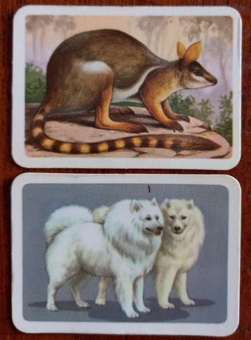 Lot of 50 old cigarette cards
